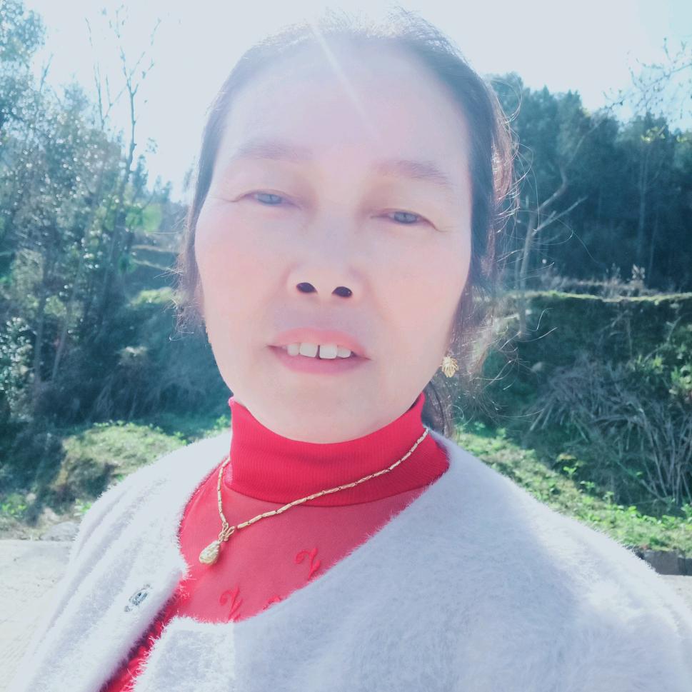森林快乐