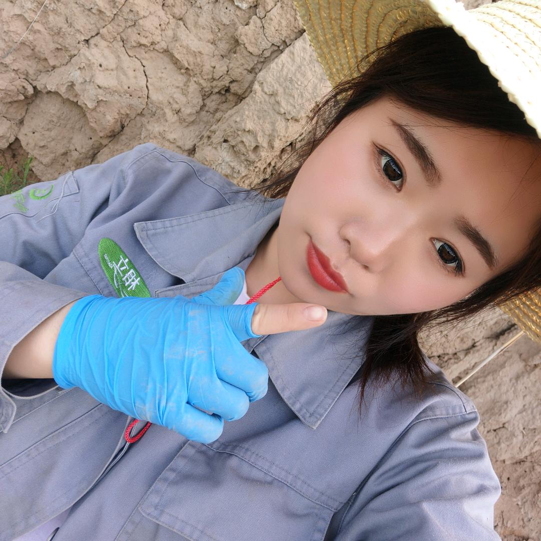 航航麻麻放羊人