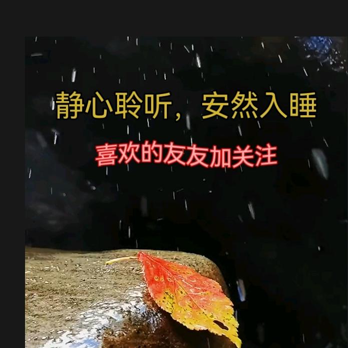 🎧听水助眠🎧