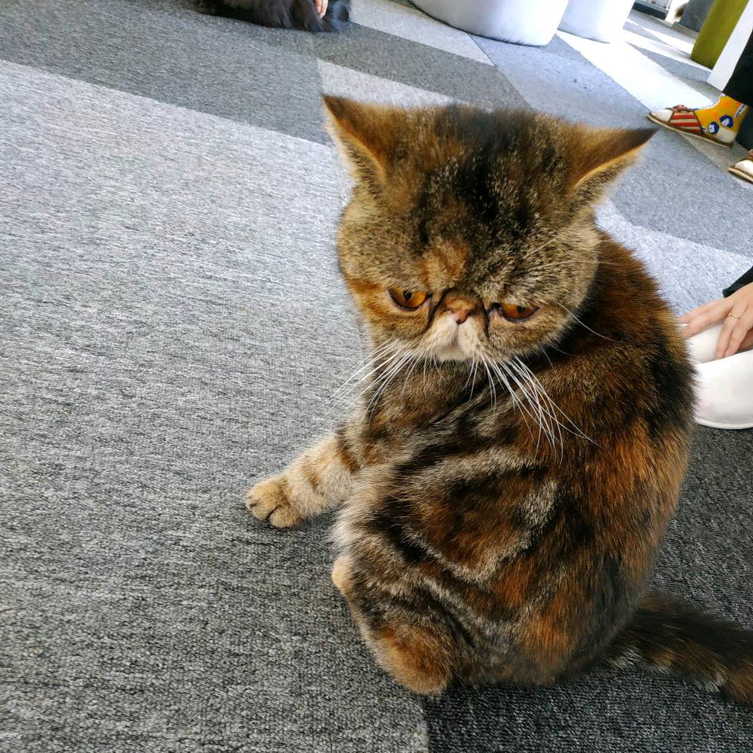 馨馨