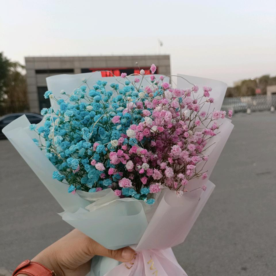 真  ❤ 珍