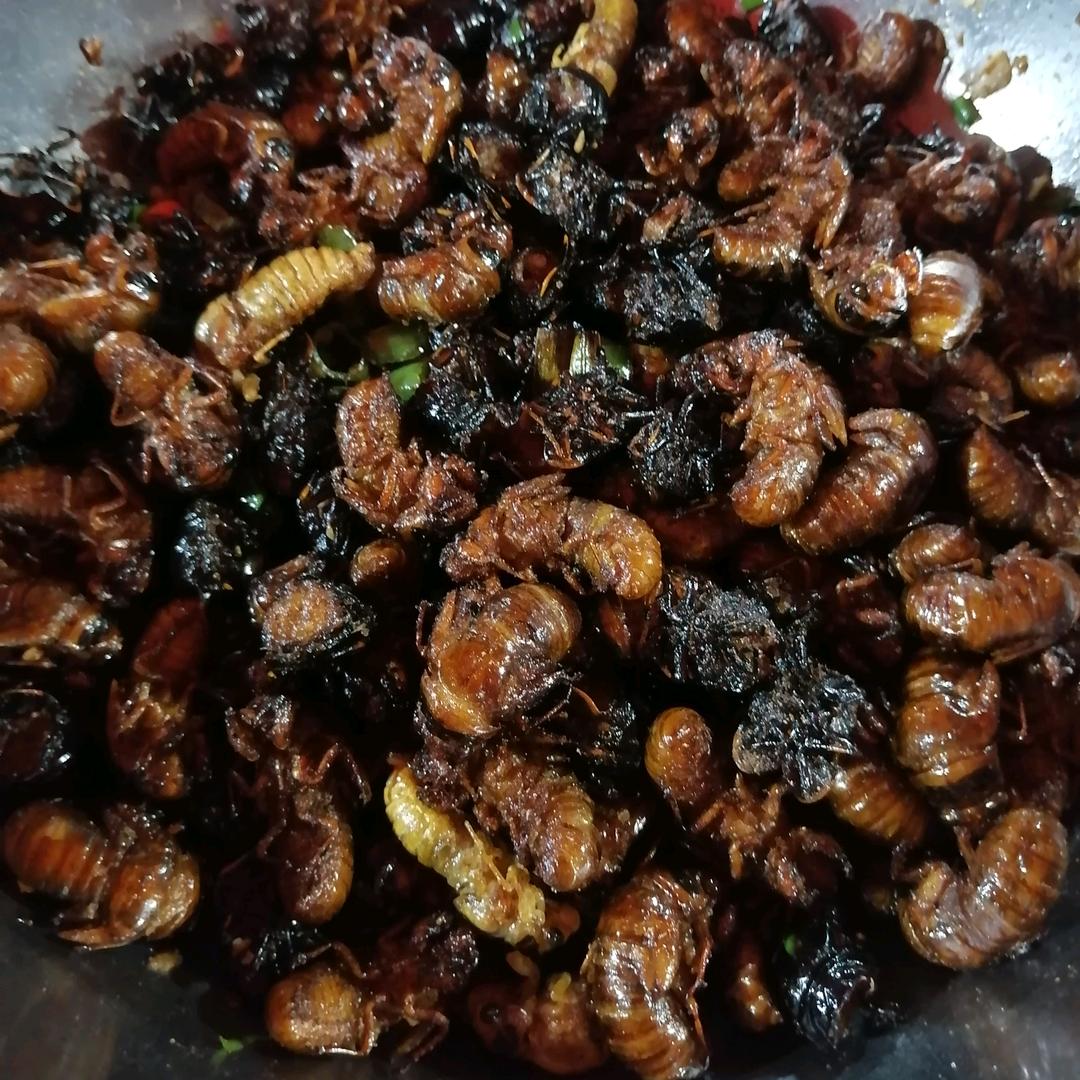 神秘过客