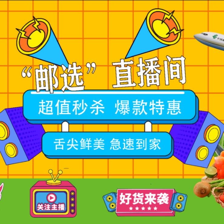 飞总