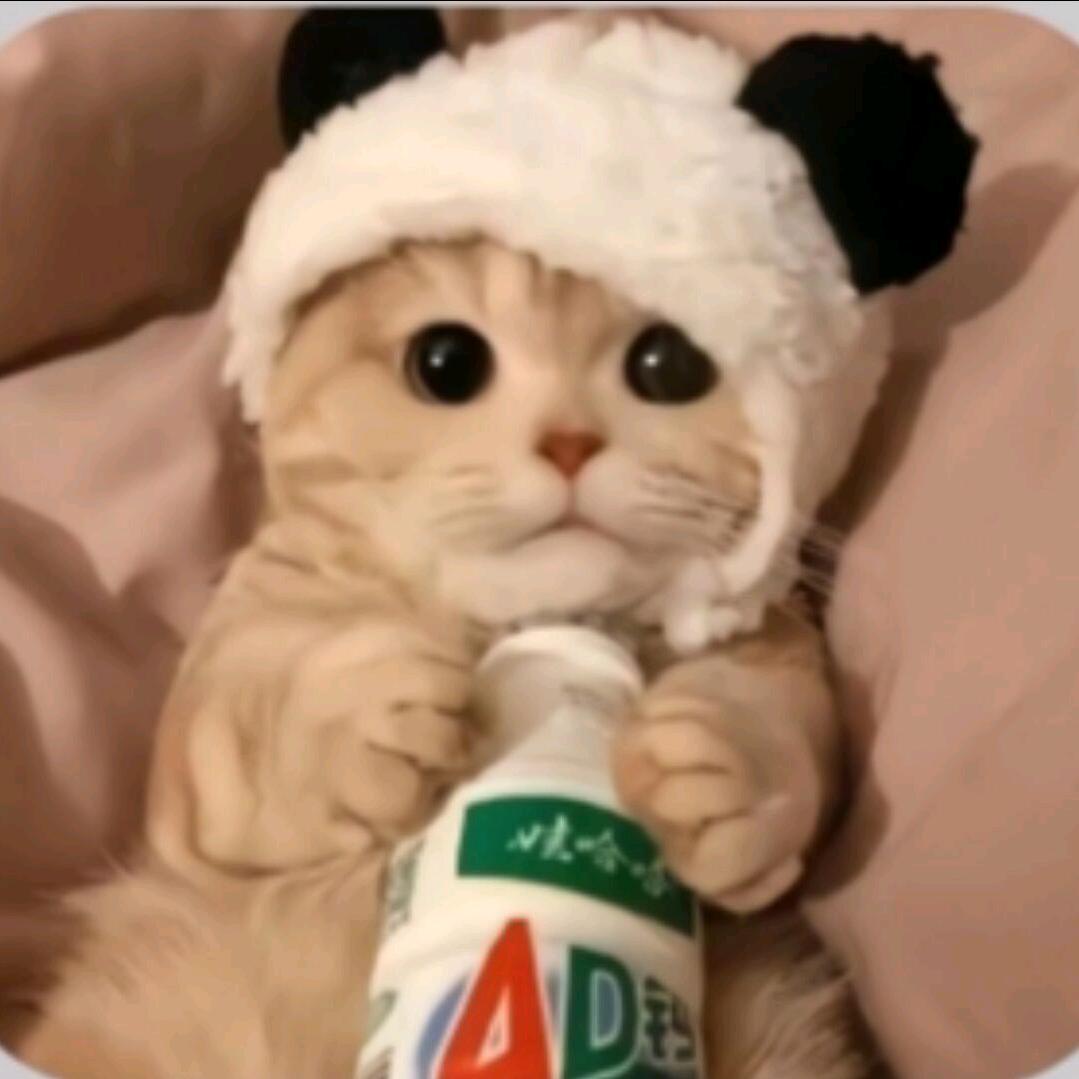 我睡着了(减脂版)