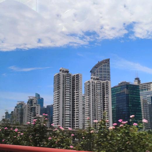 木棉花🌸🌸的春天