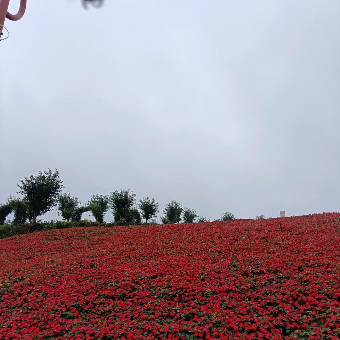 微笑前行