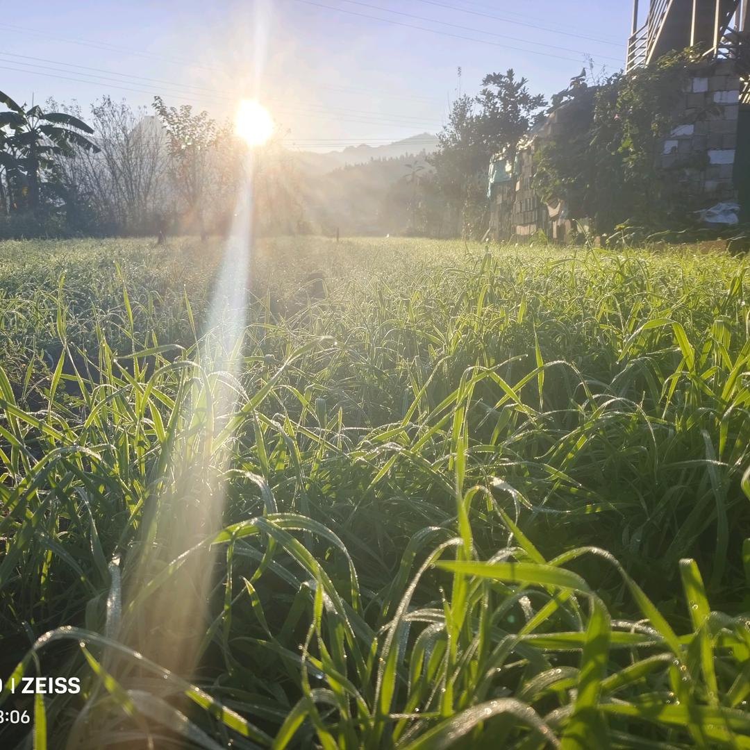 不发脾气只发财💰