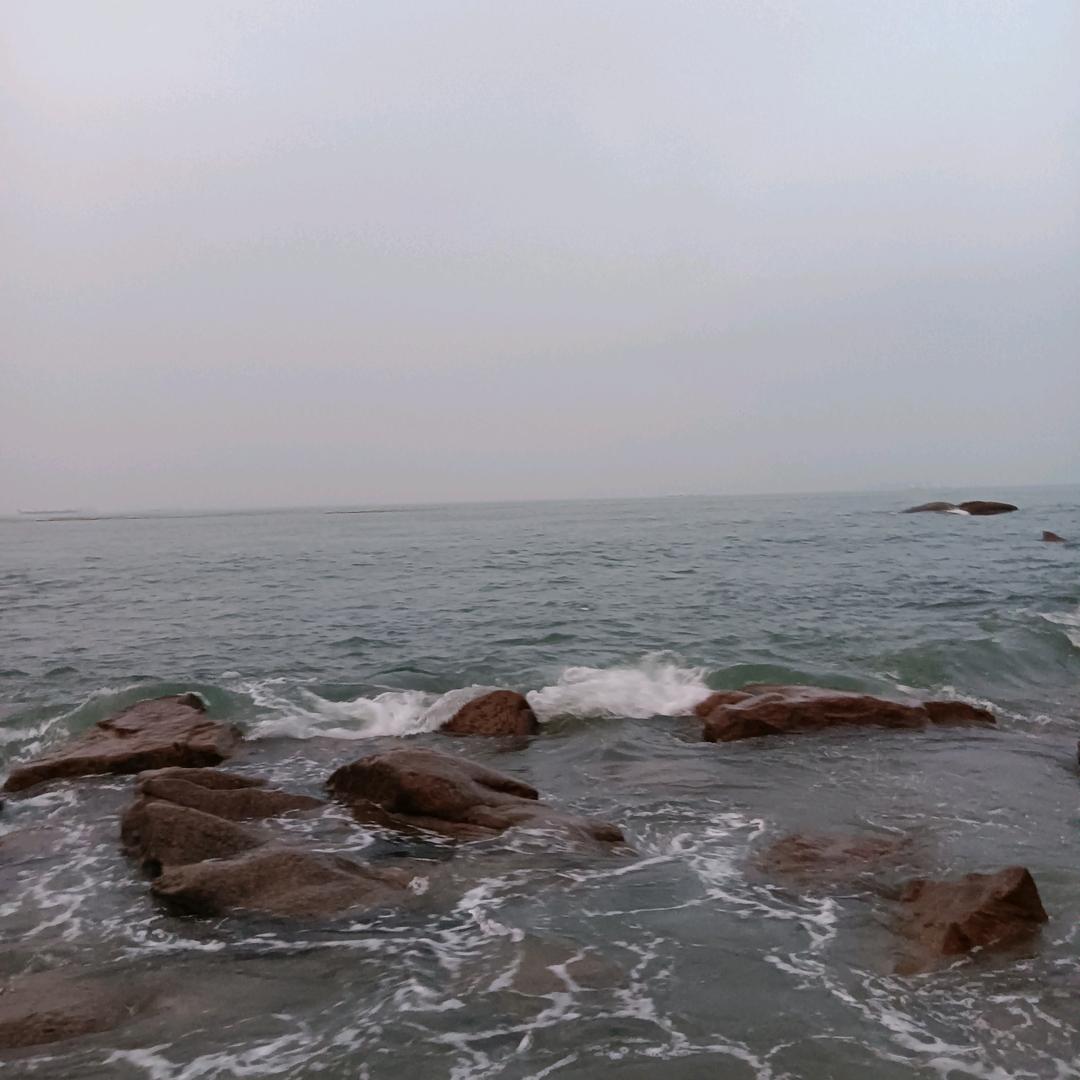 骆驼