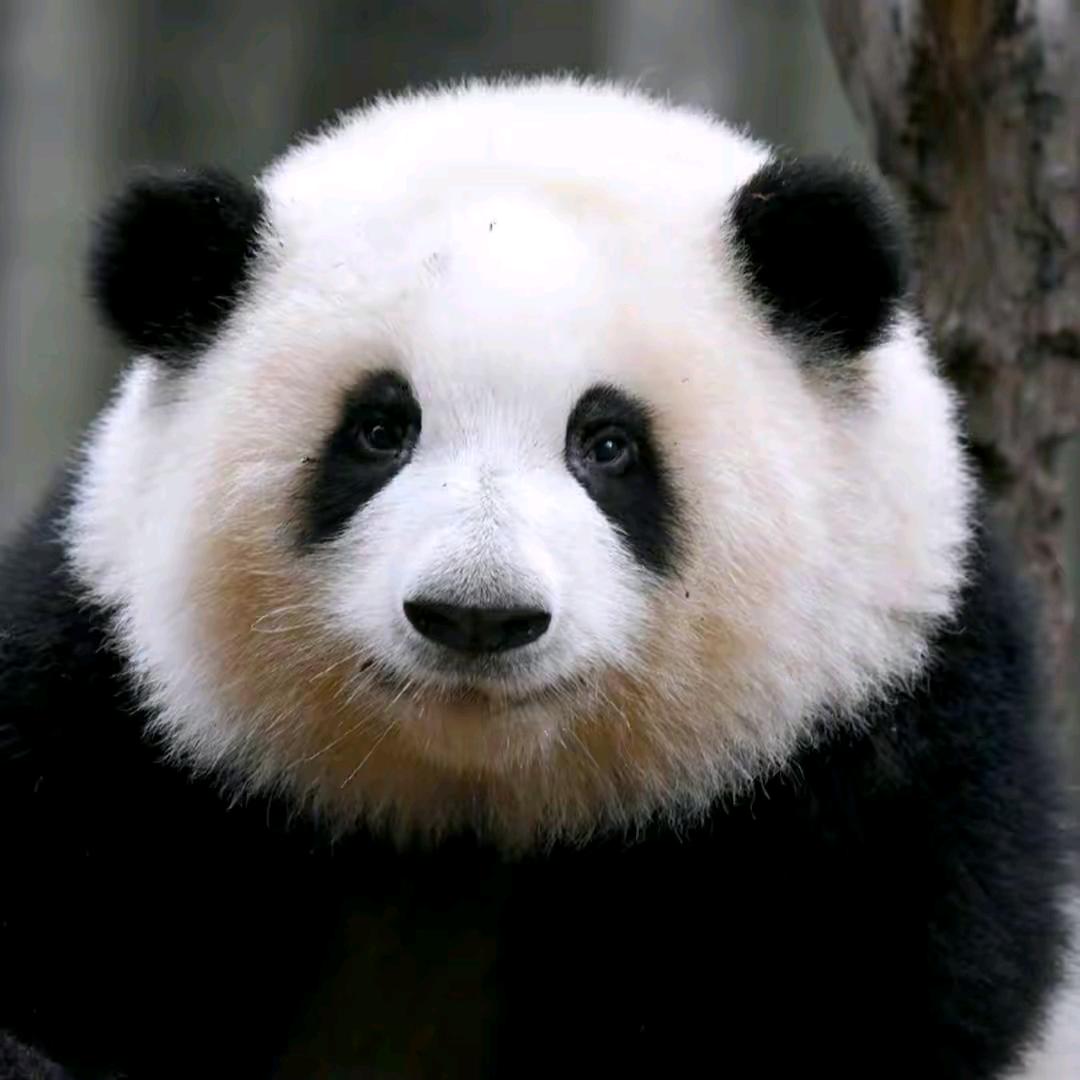 一見你就笑，