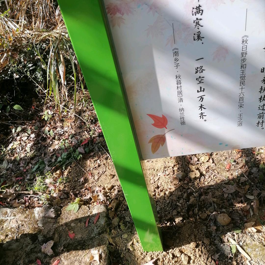 果果然