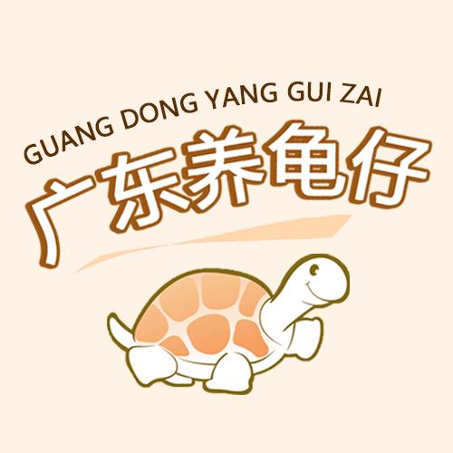 广东养龟仔