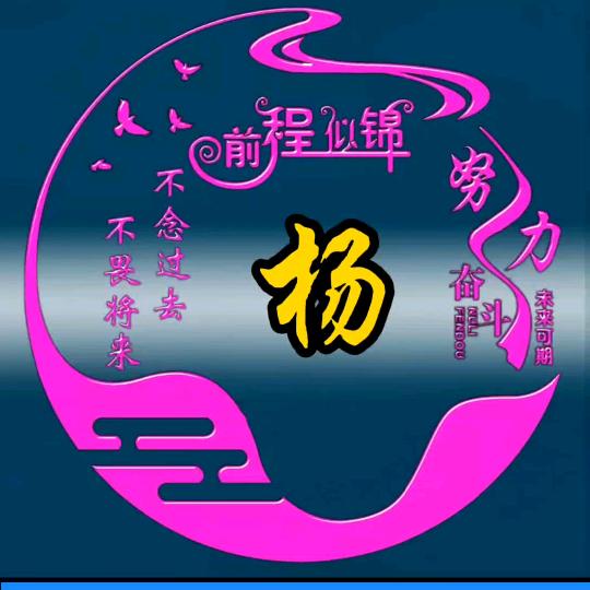 奋斗的小杨哥