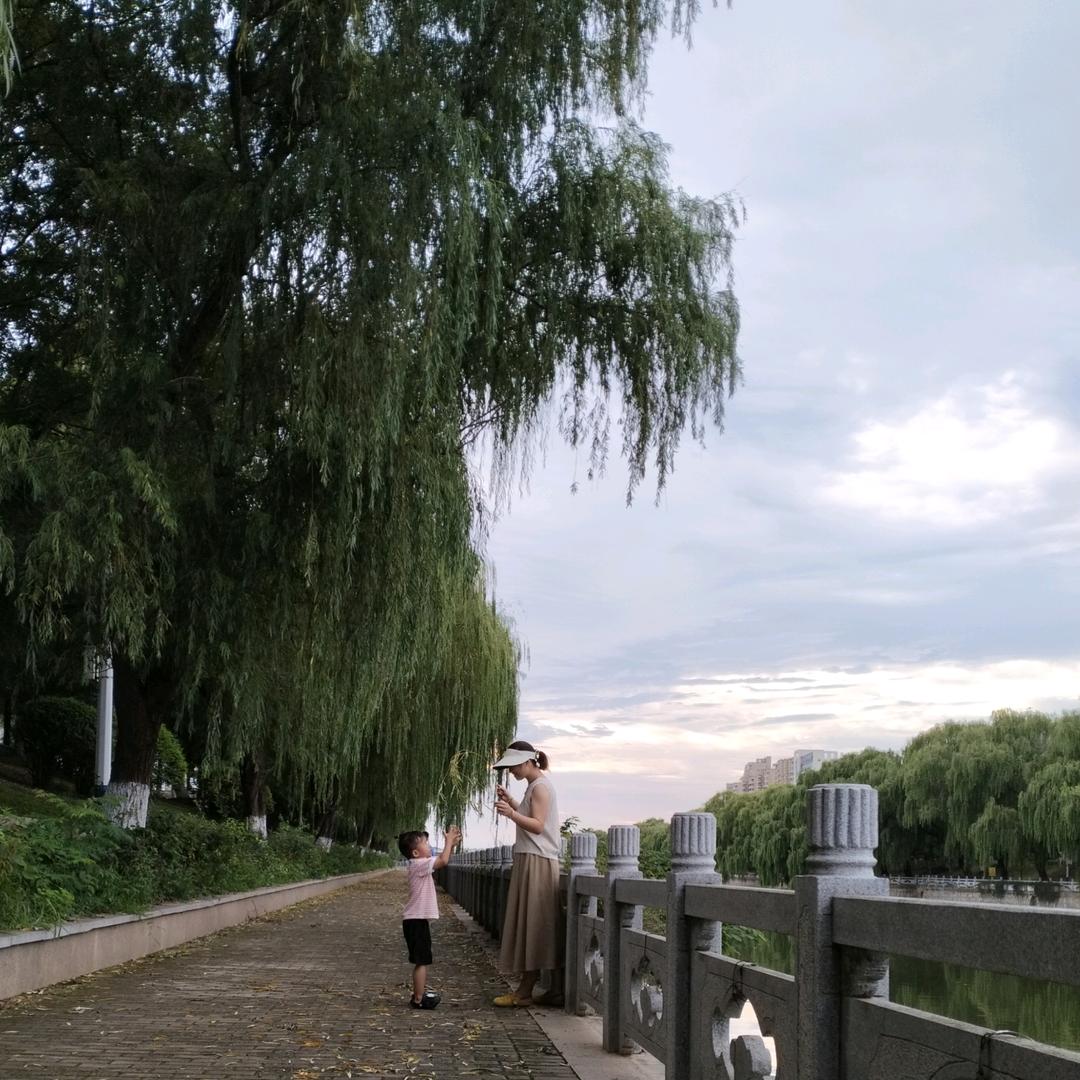 欣欣