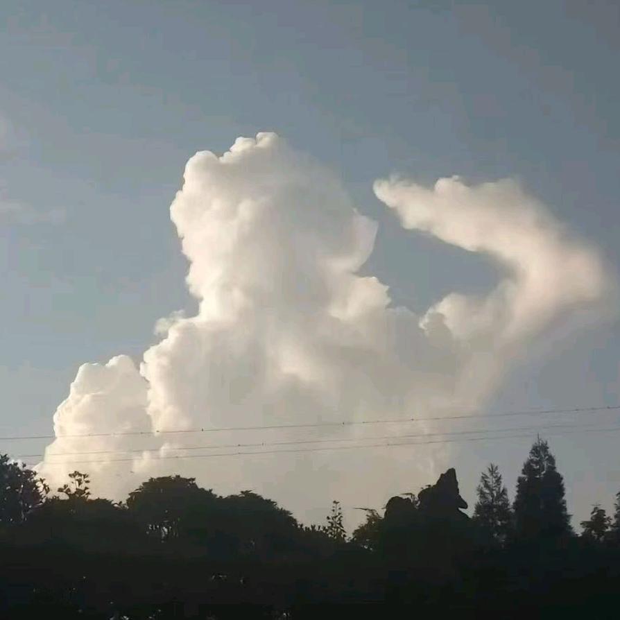 1️⃣2️⃣3️⃣4️⃣