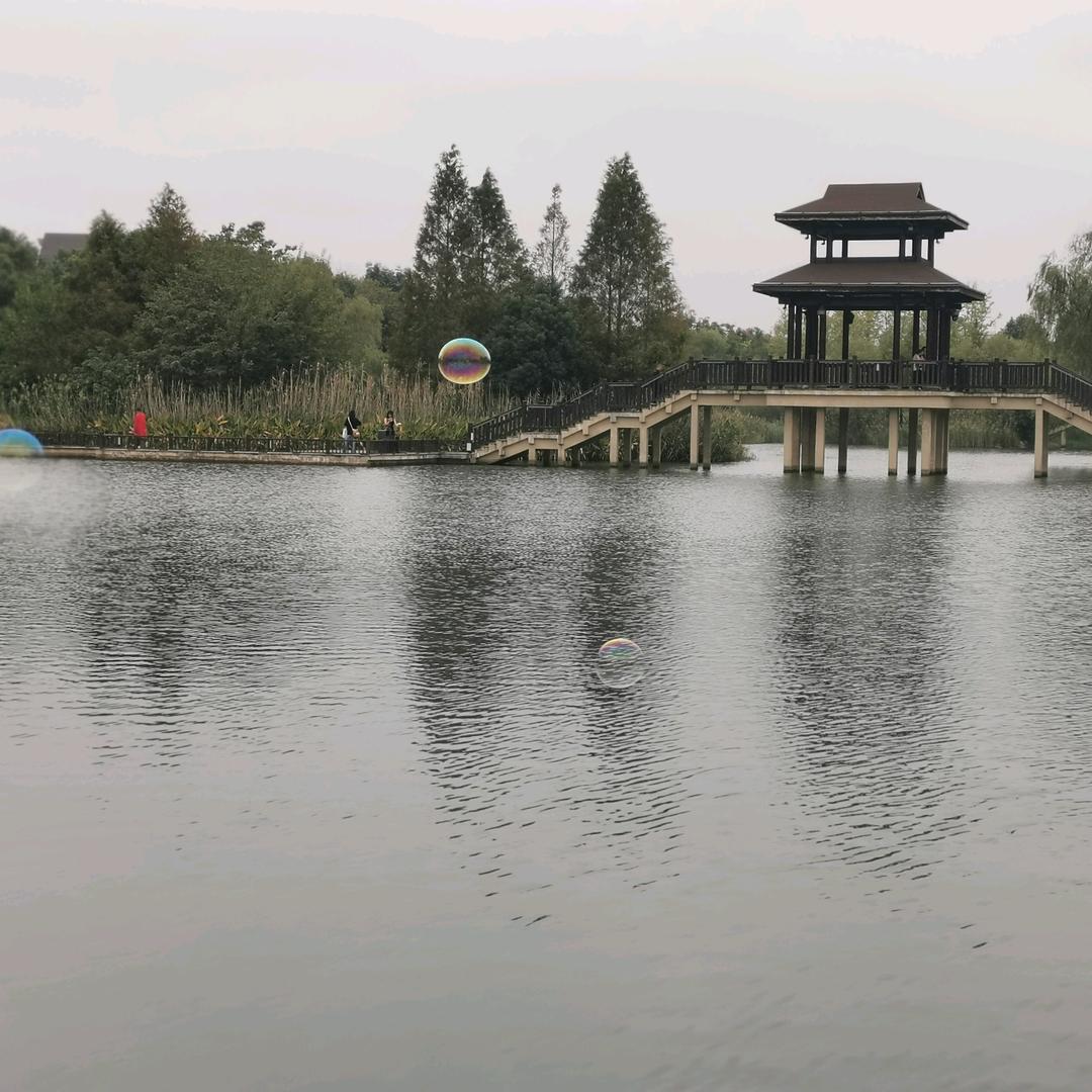 向前看