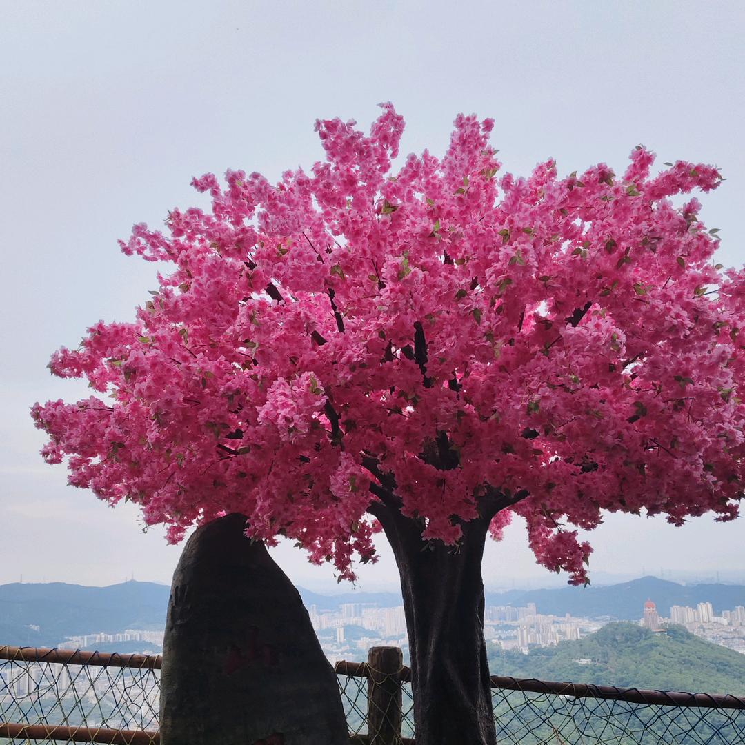 爱财🙂爱己