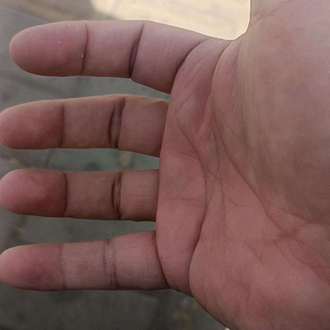 豪