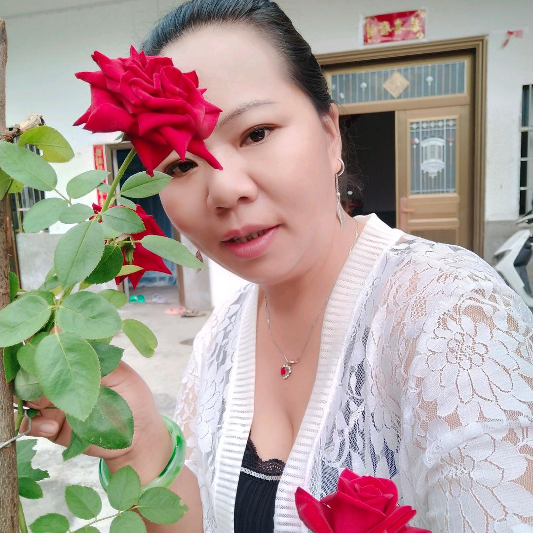 小李梅花