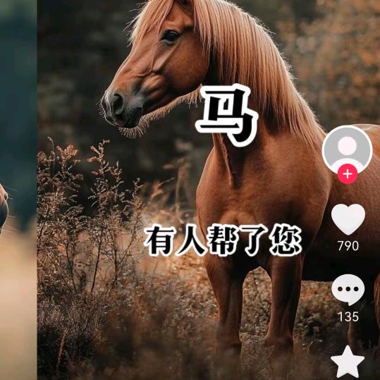 梅梅姐