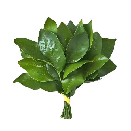 我把梦想卖了换成了财米油盐与你🌹🥺