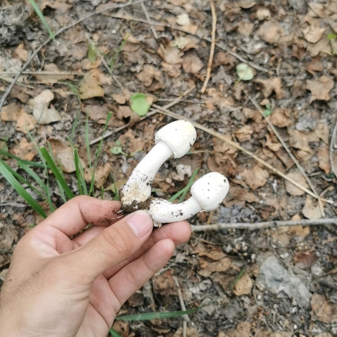 王婷不吃麻辣烫