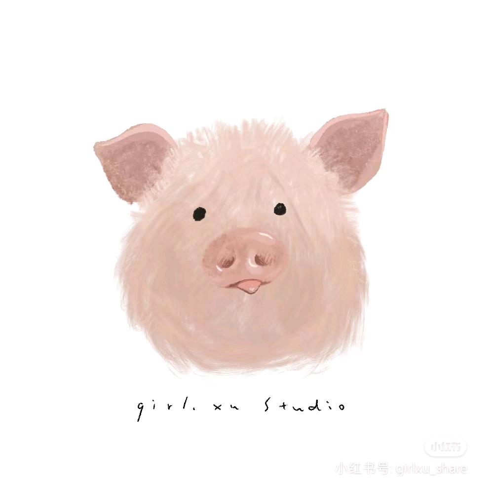 坐等退休小老太