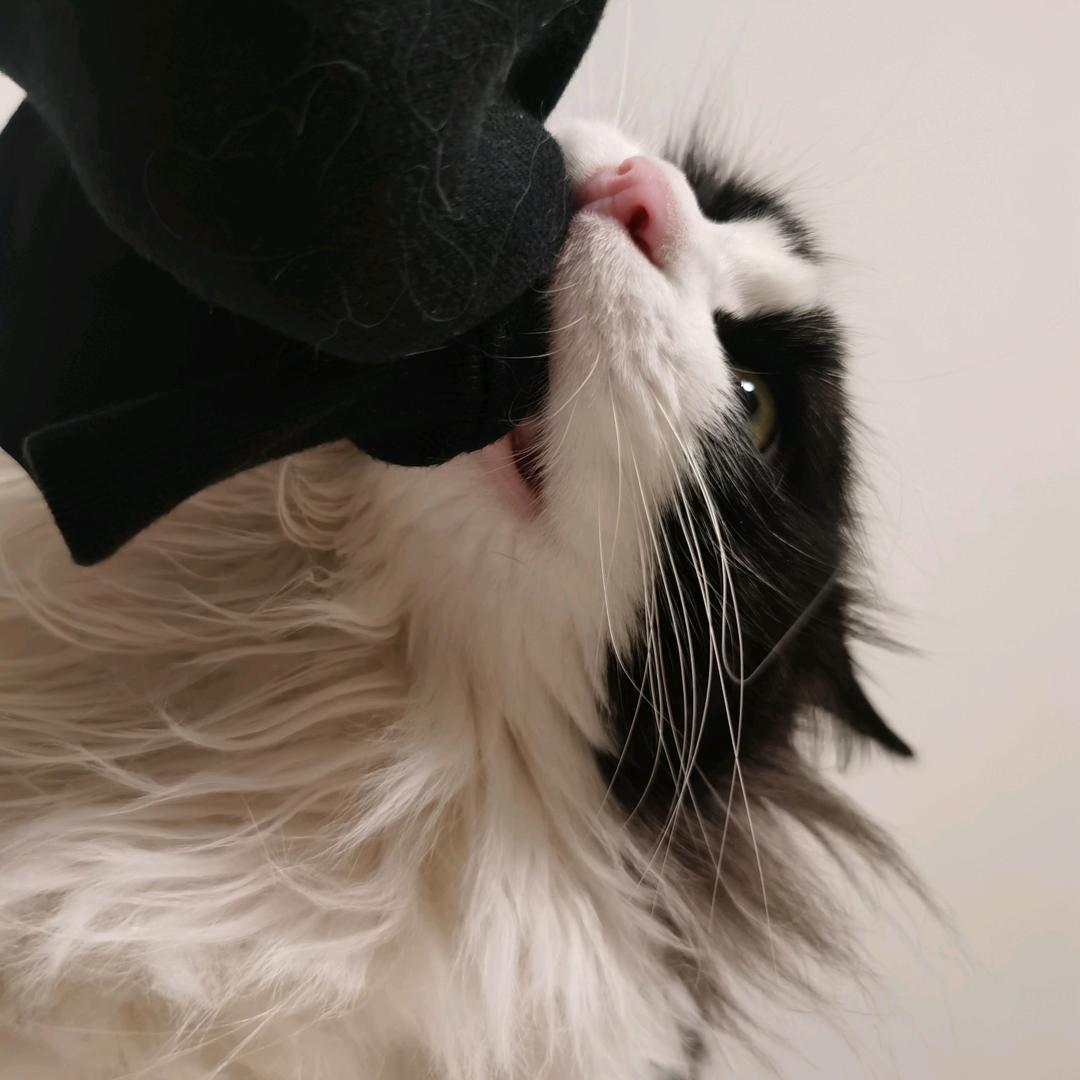 王富贵的茶叶铺子