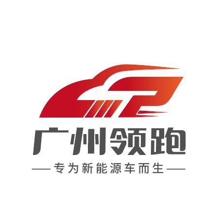 专注新能源车的小老板