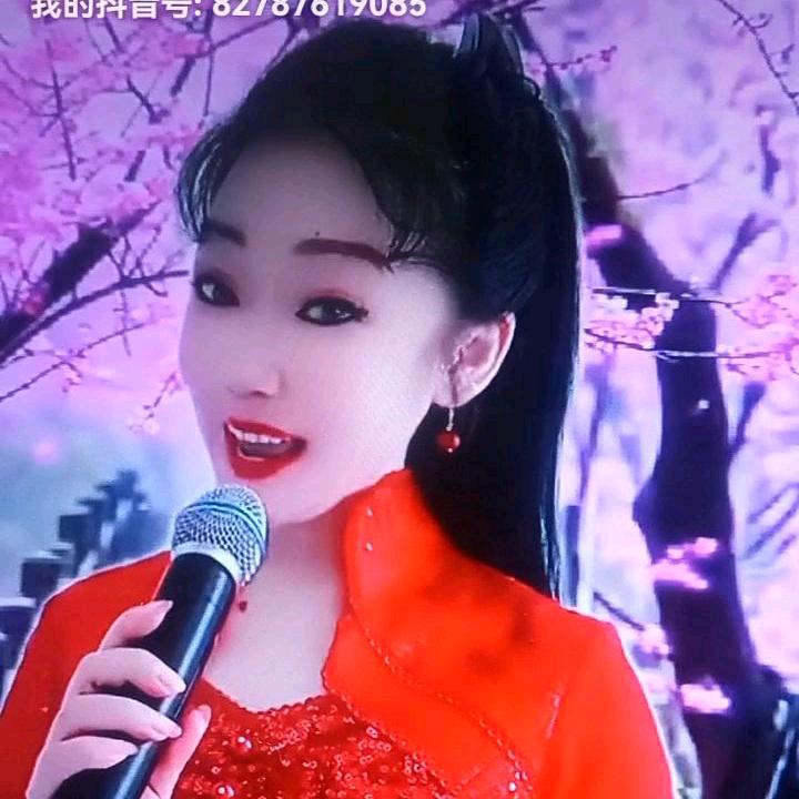 我是湖南三妹