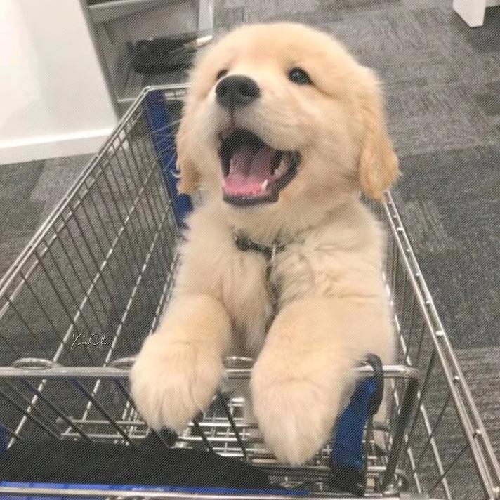 禄.