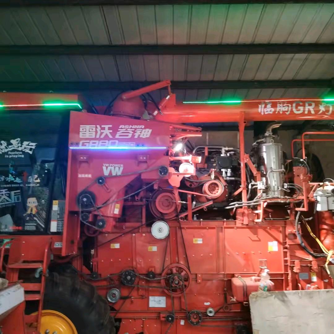 玩GR的晨晨（小号）