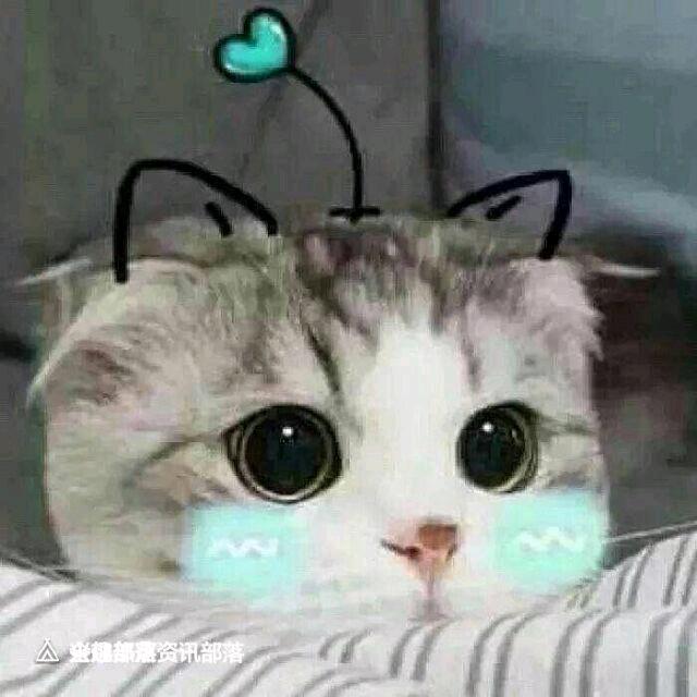 恺少520