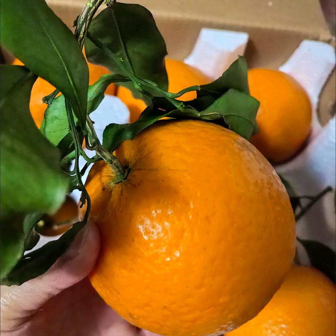 风里雨里我在等你