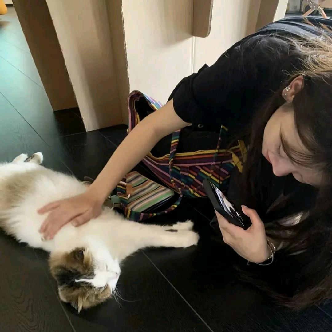 随意