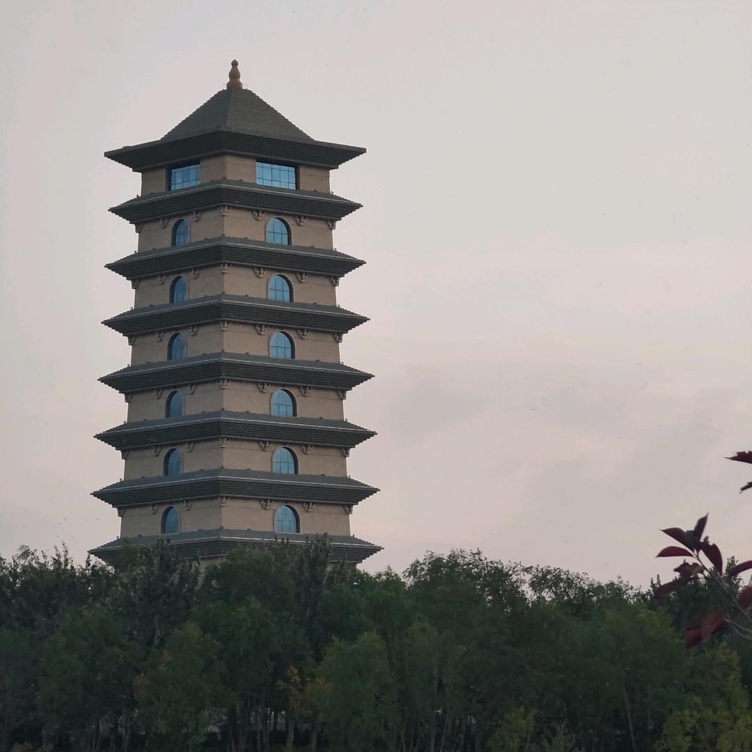在无风的夜里