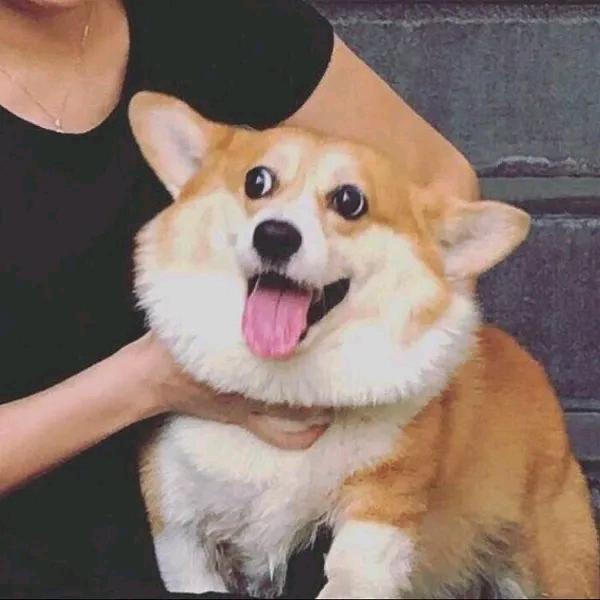 大葱炒姜.