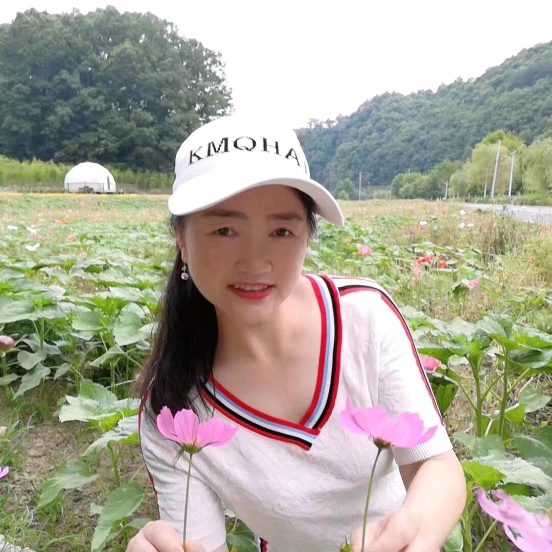 石上清泉