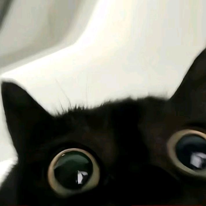 遇