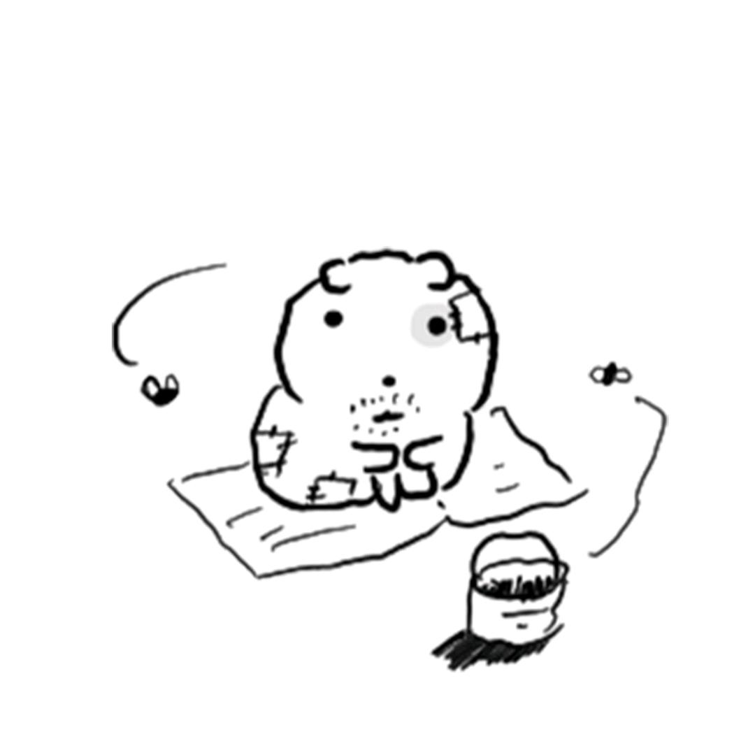 睡觉大王77