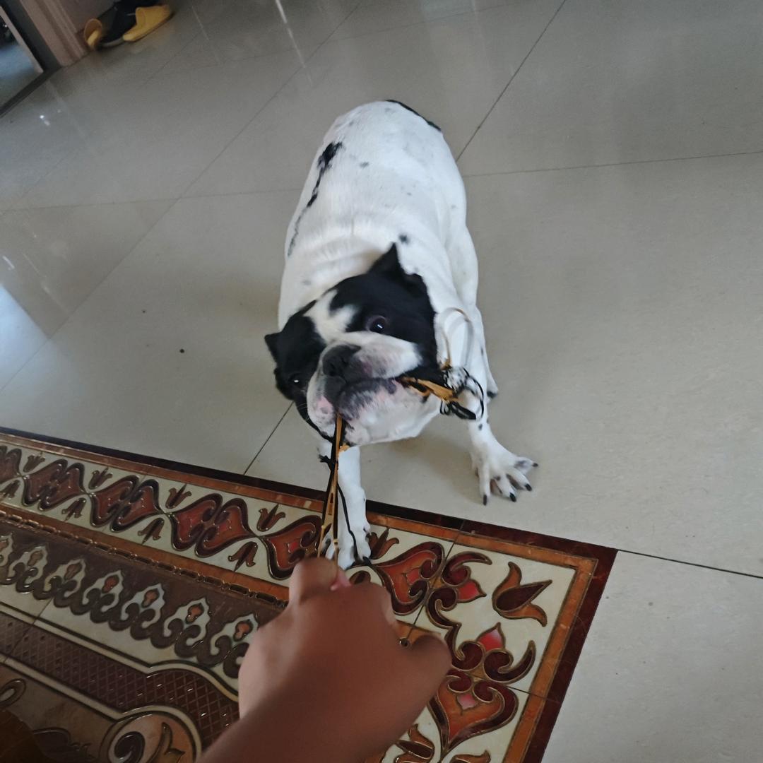 王大炮