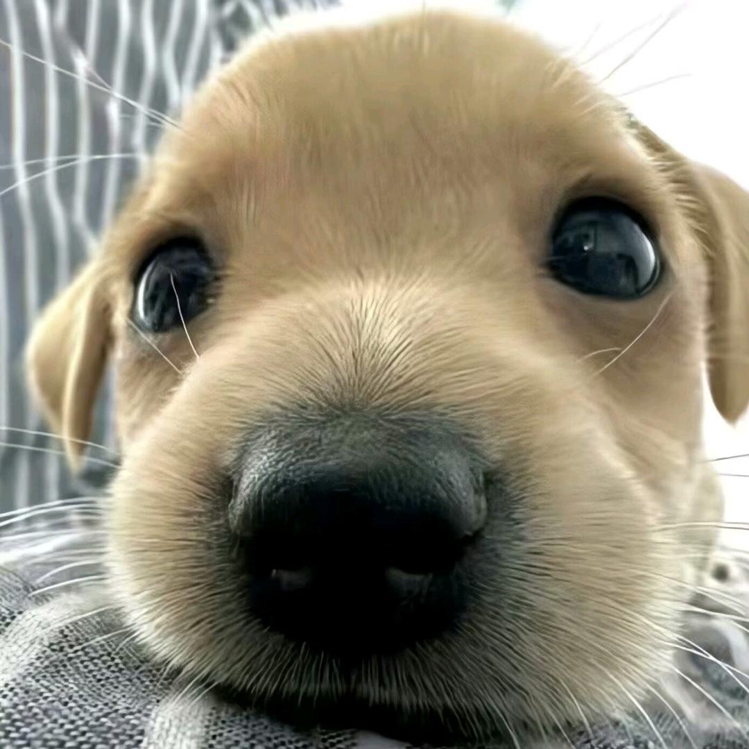 不一点点