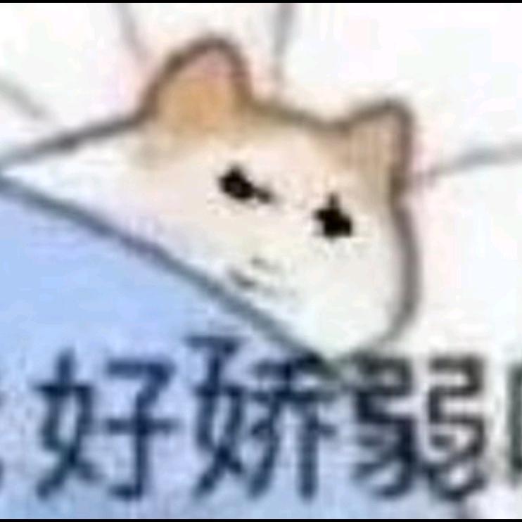 鱿鱼是囿圉啊