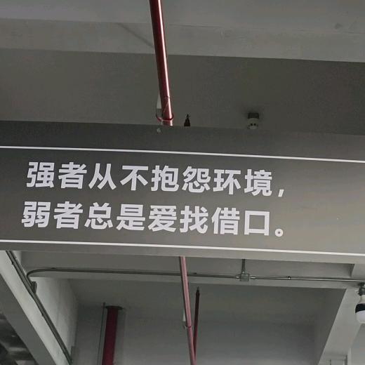 笑对时光X