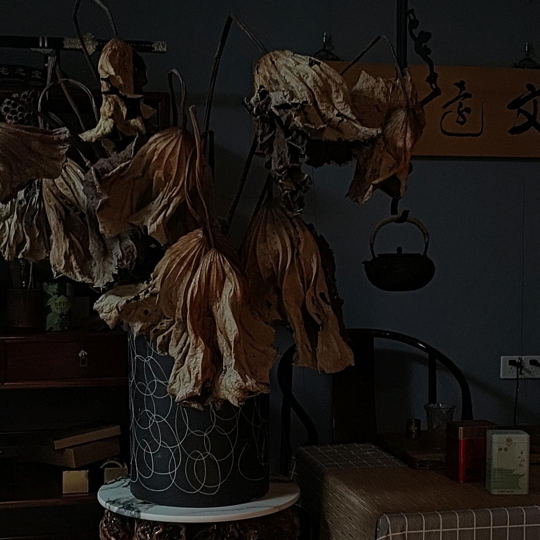 文远堂·天游龙头像