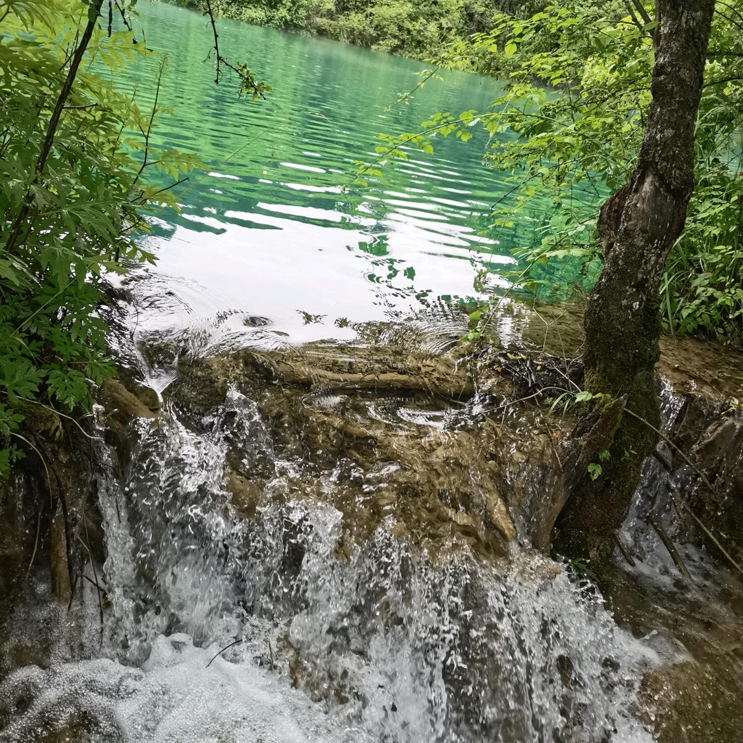 爱睡觉哎