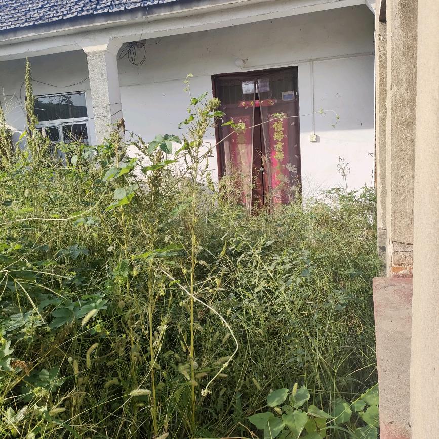 我还好