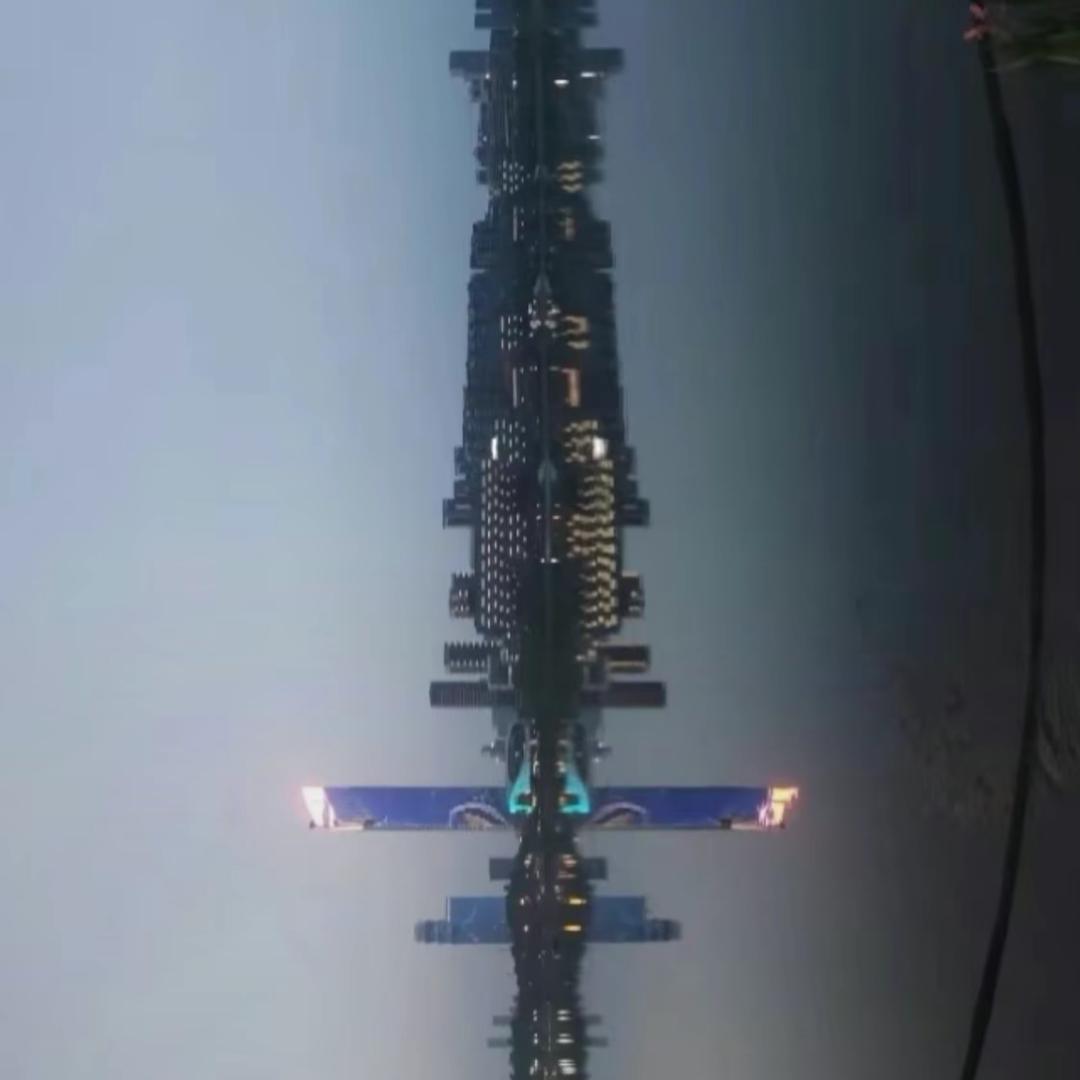 会飞的咸鱼