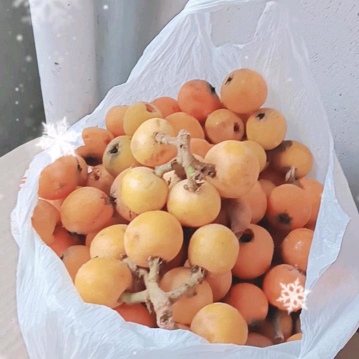 ♡̶不̶碰̶感̶情̶