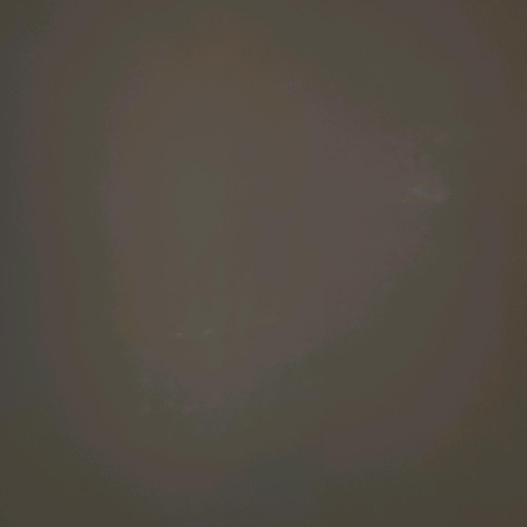 请叫坏蛋