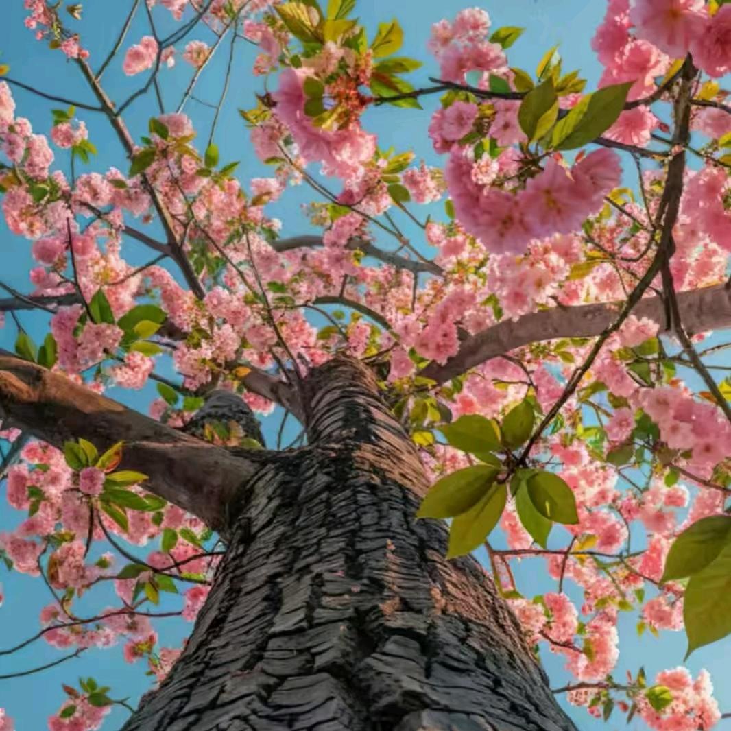 🕊💞赖ღ你᭄᭄一ღ生💞🕊